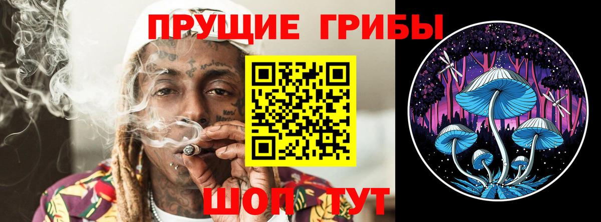 Горно-Алтайск  Псилоцибиновые грибы мухоморы  Вход с VPN 